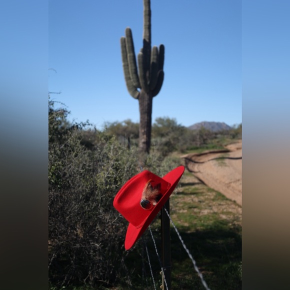 Red Wool Cowboy Hat – Western Felt Hat with feather hat pin vintage stone brooch - Picture 4 of 5
